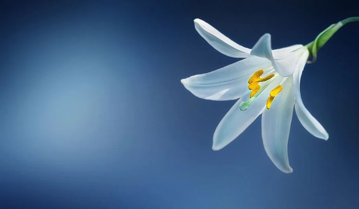 獨處的妙處